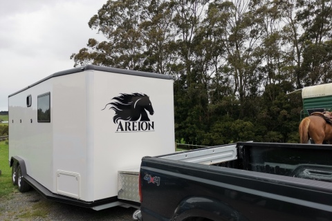 Completed Horsefloat